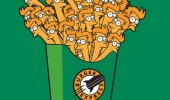 fry futurama meme funny pics pictures pic picture image photo images photos lol