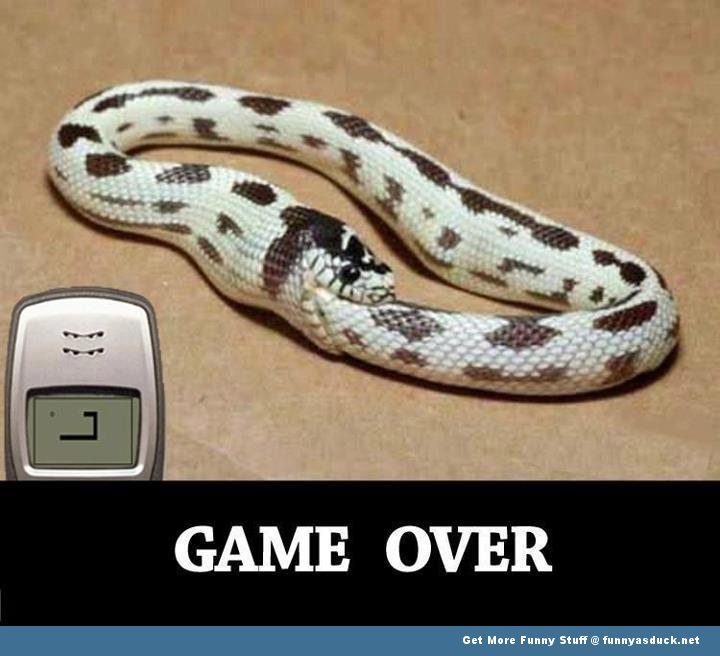[تصویر:  Funny-Nokia-Snake-Game-Over.jpg]