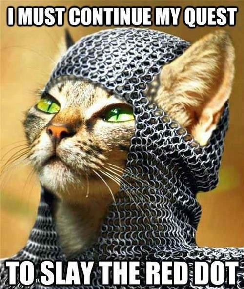 Knight Cat  Funny As Duck  Funny Pictures