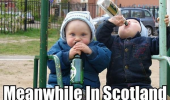 drinking babies scotland meme funny pic pictures lol
