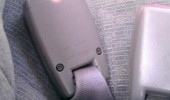 om nom nom seatbelt funny pic pictures lol meme