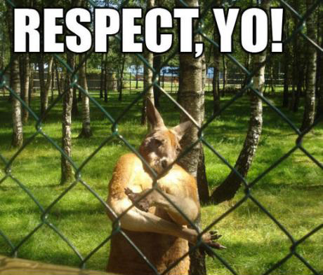 Respect-Kangaroo.jpg