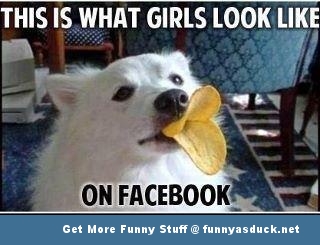 dog animal duck face meme funny pics pictures pic picture image photo ...