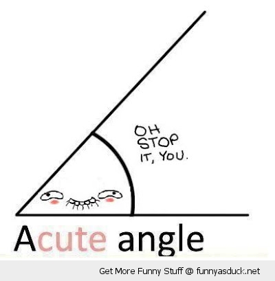 funny-acute-a-cute-angle-pics-meme.jpg