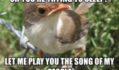 bird animal song of my people funny pics pictures pic picture image photo images photos lol