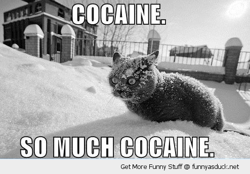 funny snow pictures