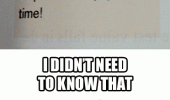didn't need to know spider fact fuck you cat animated funny pics pictures pic picture image photo images photos lol
