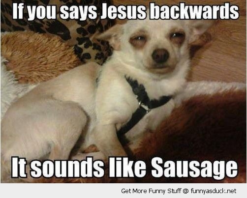 funny-dog-jesus-sausage-high-pics.jpg