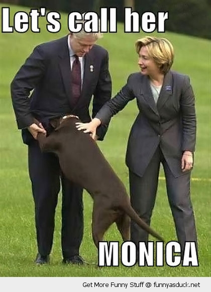 funny-dog-monica-bill-hilary-clinton-pic