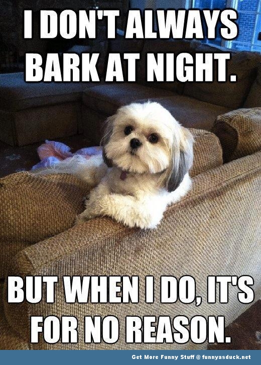 Don’t Always Bark At Night  Funny As Duck  Funny Pictures
