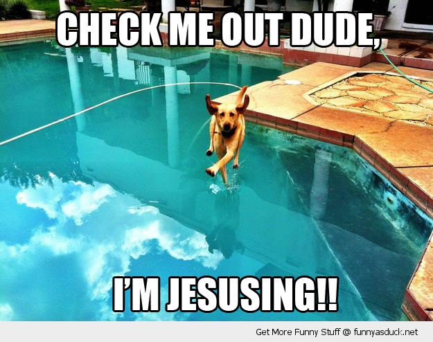 http://funnyasduck.net/wp-content/uploads/2012/10/funny-good-guy-jesusing-dog-pool-walking-water-pics.jpg