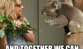 join me galaxy koala bear animal tree funny pics pictures pic picture image photo images photos lol