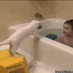 funny-kid-cat-bath-water-animated-gif.gi
