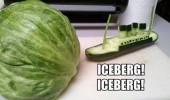 ice berg lettuce titanic boat funny pics pictures pic picture image photo images photos lol