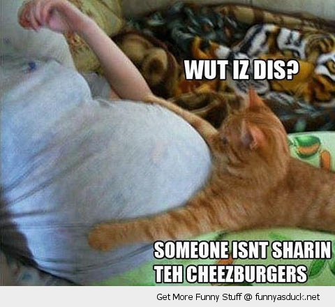 funny-pregnant-woman-cat-cheezeburgers-pics.jpg