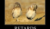 retards birds animal friend got one funny pics pictures pic picture image photo images photos lol
