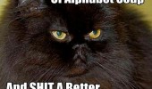 eat bowl alphabet soup shit argument cat lolcat animal funny pics pictures pic picture image photo images photos lol