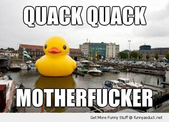 funny-big-massive-rubber-duck-river-harbour-quack-motherfucker-pics.jpg