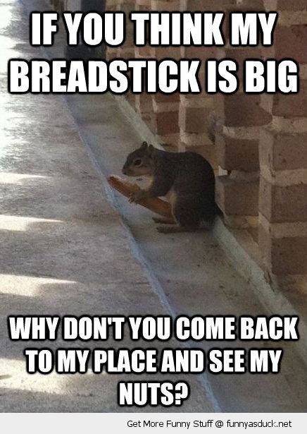 funny-big-nuts-squirrel-breadsticks-sleazy-pics.jpg