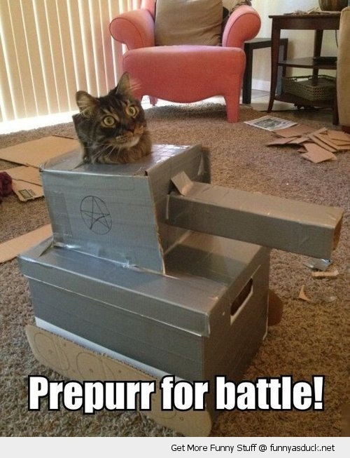 funny-cardboard-tank-cat-battle-pics.jpg