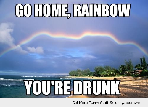 Image result for rainbow funny