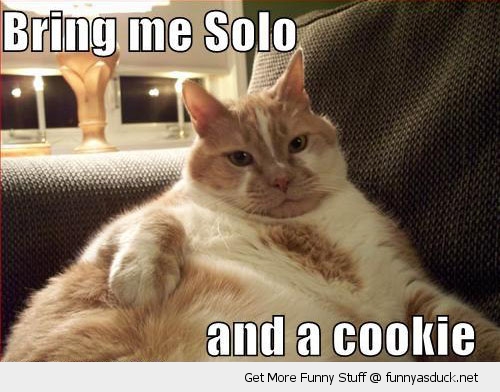 funny-fat-cat-solo-cookie-jabba-star-wars-pics.jpg