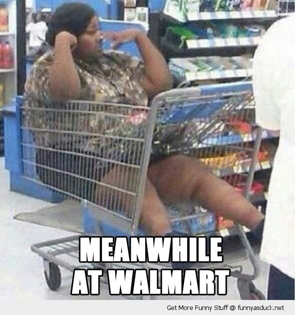 funny-fat-woman-cart-trolley-shopping-meanwhile-walmart-pics.jpg