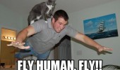 fly human cat man animal flying back funny pics pictures pic picture image photo images photos lol