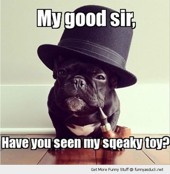 funny-like-a-sir-dog-smoking-pipe-toy-pics.jpg