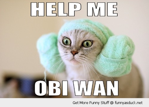funny-princess-leah-cat-help-me-obi-wan-