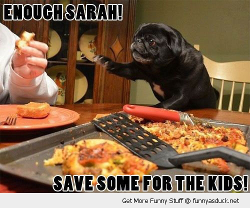 funny-pug-dog-dinner-table-pizza-enough-leave-some-kids-pics.jpg