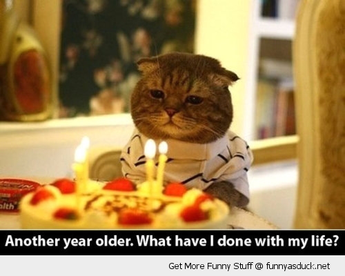 [Image: funny-sad-cat-birthday-party-cake-candle...r-pics.jpg]