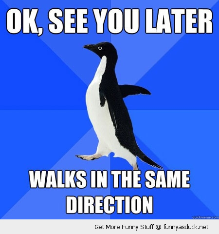 funny-socially-awkward-penguin-meme-see-you-later.jpg