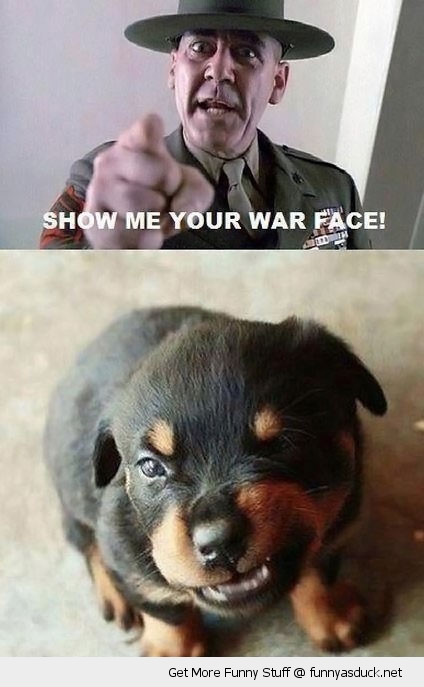Show me you war face!