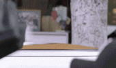 50 cent sophisticated cat animal driving car animated gif funny pics pictures pic picture image photo images photos lol