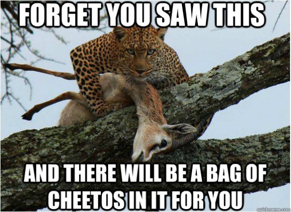 funny-cheeta-tree-dead-antolope-prey-for
