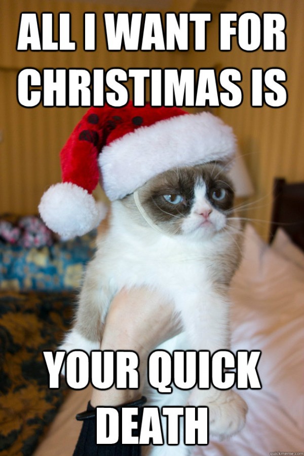 funny-christmas-santa-hat-grumpy-angry-c