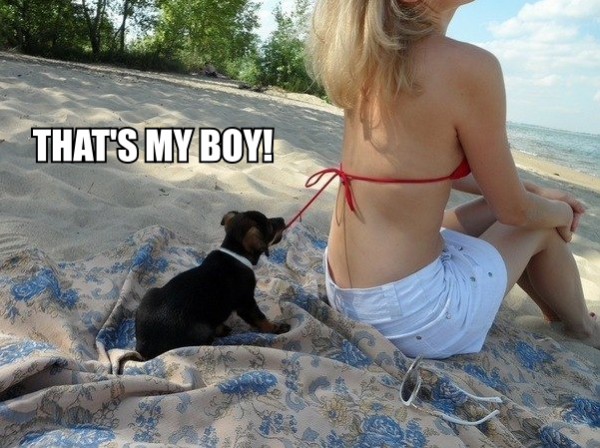 funny-cute-puppy-dog-pulling-womans-bikini-strap-beach-thats-my-boy-pics-600x448.png