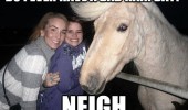 bad hair day horse no neigh animal handsome good looking girls pun joke funny pics pictures pic picture image photo images photos lol