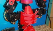 robot lobster zoidberg futurama why not droidberg tv funny pics pictures pic picture image photo images photos lol