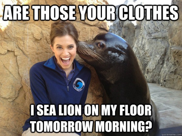 funny-pervert-sea-lion-seal-woman-your-clothes-on-my-floor-pics-600x449.jpg