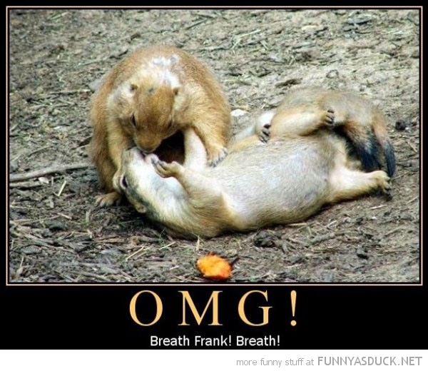 funny-squirrel-giving-mouth-omg-frank-br