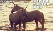 unicorns standing water noahs ark coming 5 animals funny pics pictures pic picture image photo images photos lol