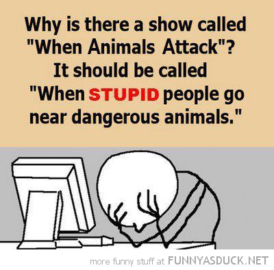 [Image: funny-animals-attack-meme-stuped-people-pics.jpg]