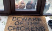 beware of the chickens door mat animals hens funny pics pictures pic picture image photo images photos lol