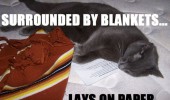 cat logic animal lolcat surrounded blankets lay paper bed funny pics pictures pic picture image photo images photos lol