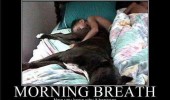 dog animal ass kids face morning breath funny pics pictures pic picture image photo images photos lol