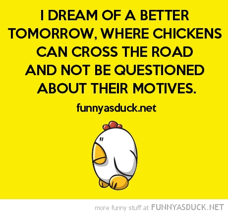 Funny Quotes And Sayings About Chicken. QuotesGram