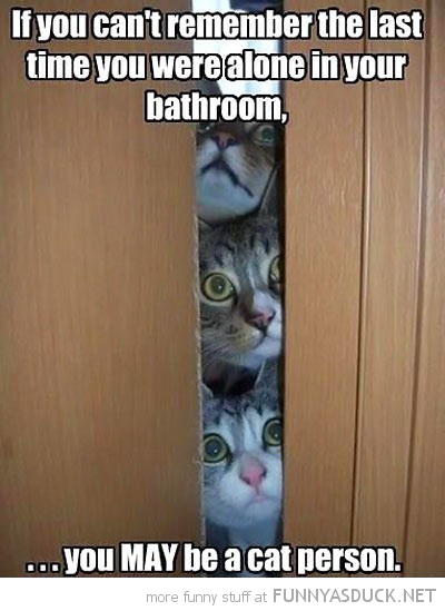 funny-last-time-bathroom-alone-cat-person-door-pics.jpg