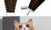shocked cat lolcat animal surprised nutella squeezy bottle funny pics pictures pic picture image photo images photos lol